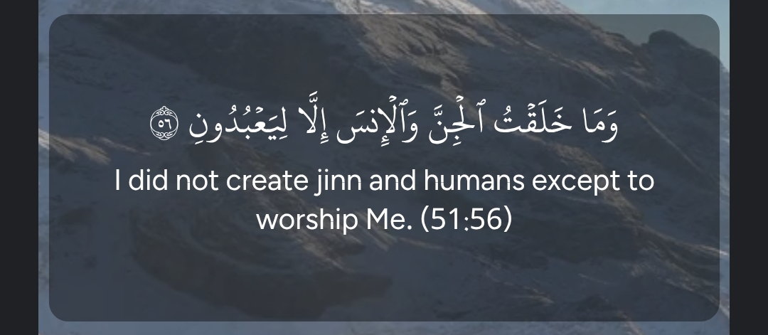 The Purpose of Family in Islam